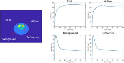 Spatiotemporal Kernel Reconstruction for Linear Parametric Neurotransmitter PET Kinetic Modeling in Motion Correction Brain PET of Awake Rats